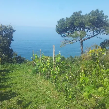 Гостевой дом Cinque Terre Andrea 3*